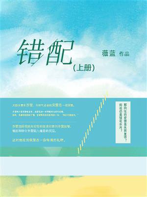 错配婚缘剧情介绍