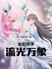 全职高手:流光万象付付得负