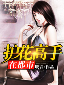护花高手在都市有声小说在线收听