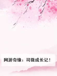网游奇缘：司微成长记！