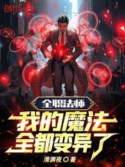 全职法师之我的魔法有点特别 小说