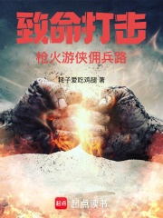 致命打击:枪火游侠佣兵路 笔趣阁