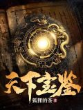天下宝鉴TXT 小说