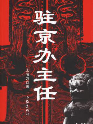 驻京办主任（一）
