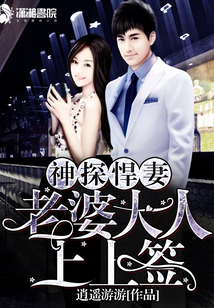 神探悍妻之老婆大人上上签 小说