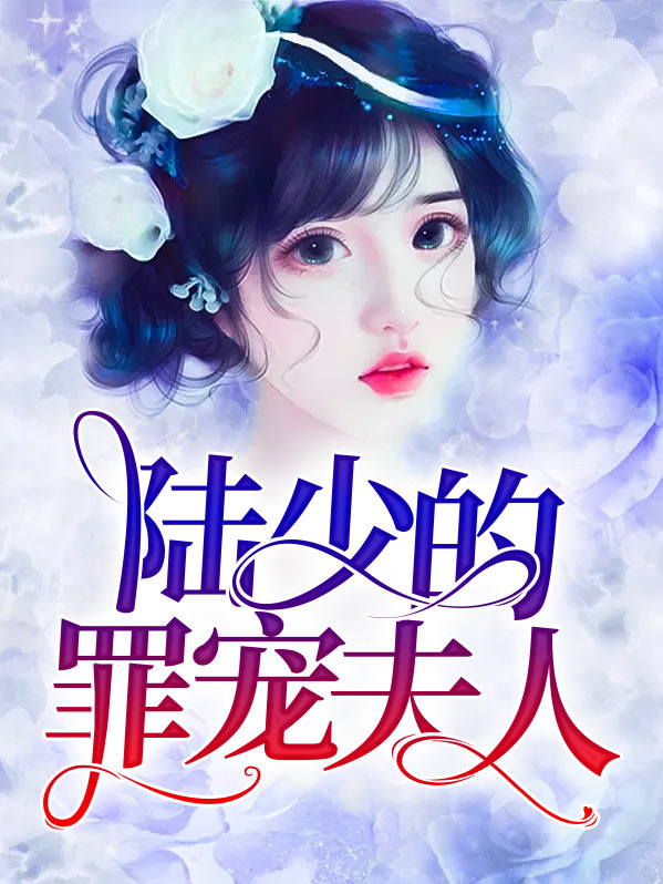 陆少的宠儿