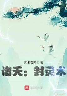 诸天从盗综开始TXT小说下载