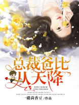 总裁爸比从天降TXT下载爱奇