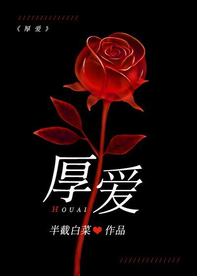厚爱有加的意思