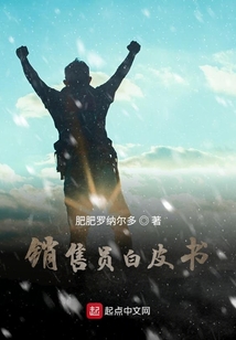 销售员白皮书