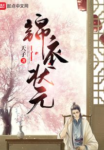 锦衣状元有声小说