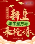 改嫁当天新皇率千军万马来抢婚