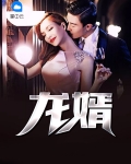 龙婿陆凡唐浣溪免费全文阅读全文