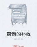 遗憾的补救