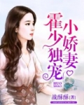 霍少独宠小娇妻叶梦晨小说