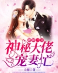 傲娇三宝，神秘大佬宠妻忙
