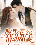 腹黑老公宠妻