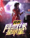 我的网恋对象是明星的小说