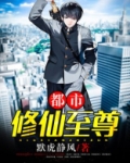 都市修仙至尊