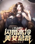 下山后，闪婚高冷美女总裁