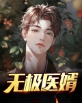 无极医婿小说