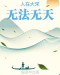 人在大宋无法无天免费阅读
