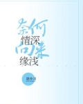 奈何情深，向来缘浅