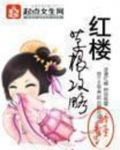最近在看红楼攻略