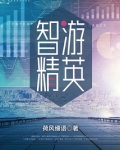 智游精英
