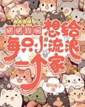 我有一个想法给流浪猫一个家
