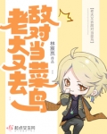 老大又在装萌新了无弹窗