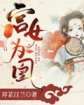宫女为凰 小说