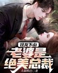 狂龙下山我的老婆都是绝色