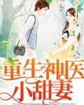 重生神医小甜妻墨北寒全文免费阅读