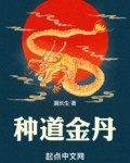 种道金丹TXT下载