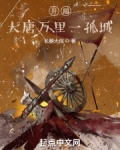 开局:大唐万里一孤城147小说