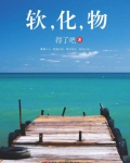 软化物小说怎么样