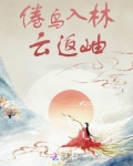 倦鸟入林云返岫