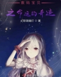 数码宝贝之奇迹的光芒
