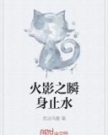 火影之瞬身止水笔趣阁