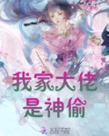 我家大佬是神偷免费阅读