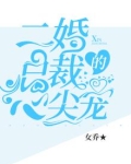 二婚总裁的心尖宠免费阅读