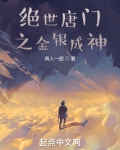 绝世唐门之金银成神在线阅读
