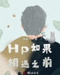 HP如果相遇之前