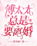傅太太:离婚请签字 小说