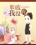教练吃盒饭