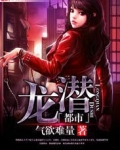 龙潜都市
