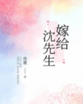 嫁给沈先生的第八个年头全文阅读