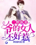 二少爷的二婚新妻