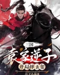 三国:袁家逆子,开局摔玉玺完